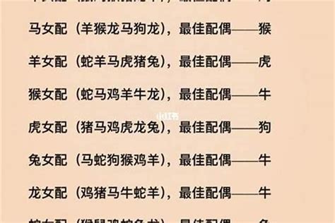 77年生肖|1977年属什么生肖配对 1977年属什么生肖五行属什么